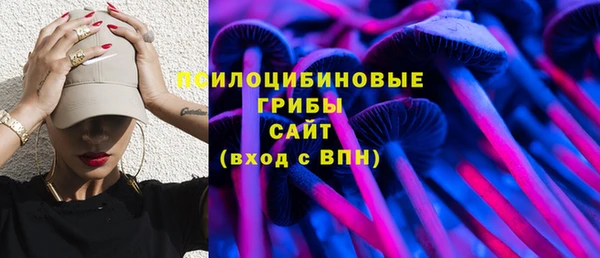 прущие крисы Дмитриев