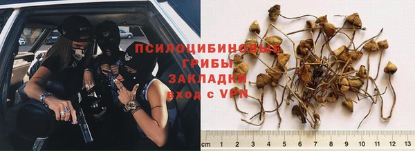прущие крисы Дмитриев